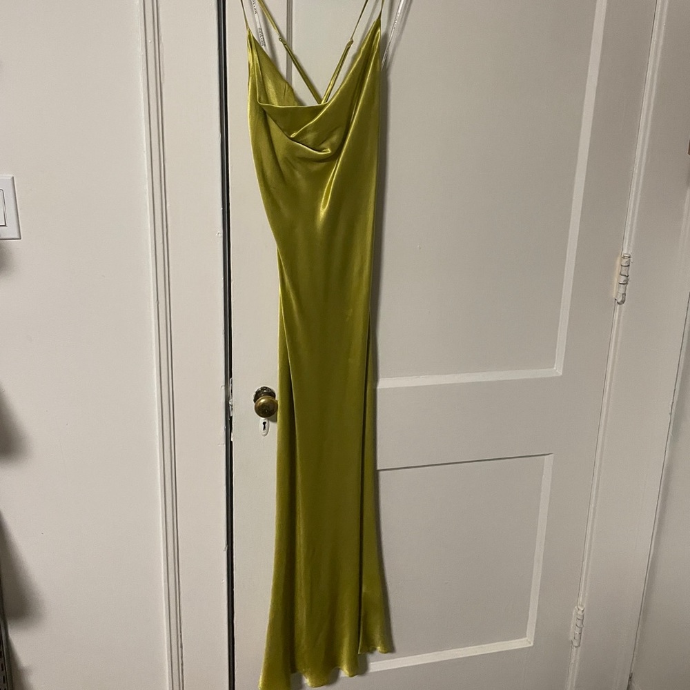 Stunning Shona Joy dress